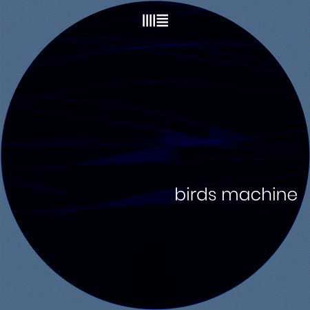 Birds Machine